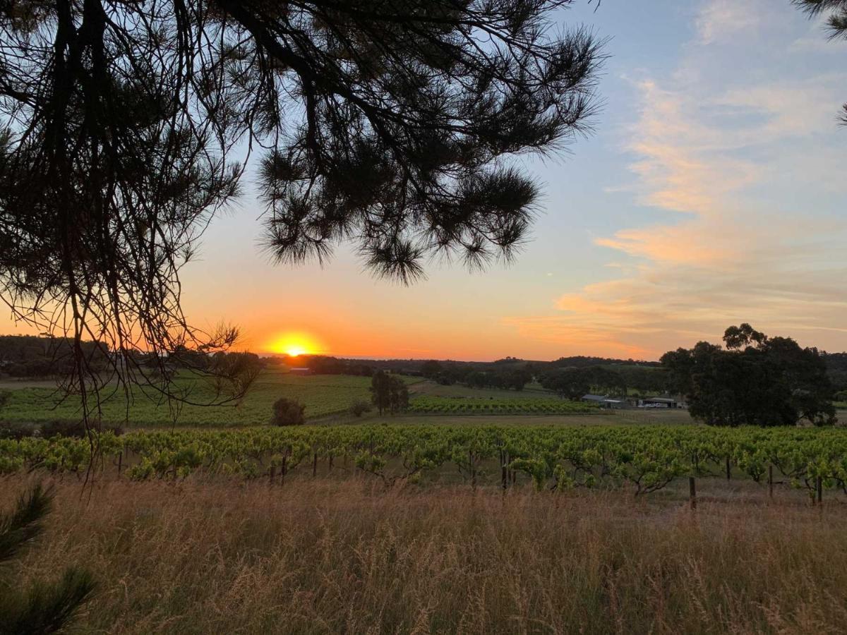 Bella Cosa Villa Mclaren Vale Exteriör bild
